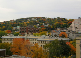 Blick zum  Mont Royal