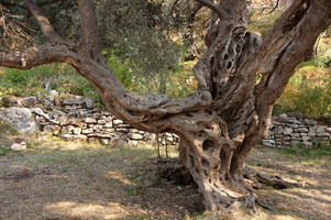 Montenegro , Sveti Stefan