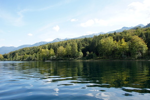 Wocheiner See
