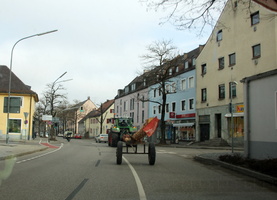 Fichte aus dem Wald holen