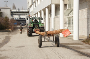 Fichte in einer Halle verstecken