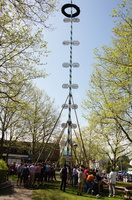 Maibaum aufstellen