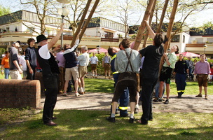 Maibaum aufstellen