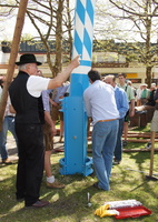 Maibaum aufstellen