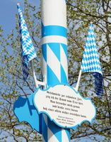 Maibaum , er steht endlich