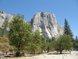 Yosemite National Park