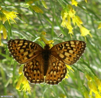 California , Crater Lake