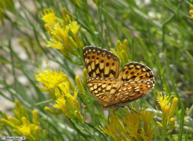 California , Crater Lake