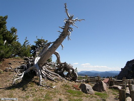 California , Crater Lake