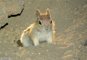 Oregon, Paulina Lake