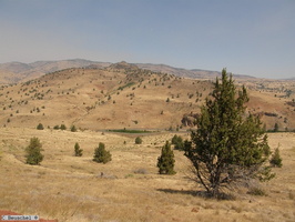 Oregon , Warm Springs