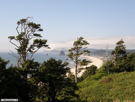 Oregon Coast