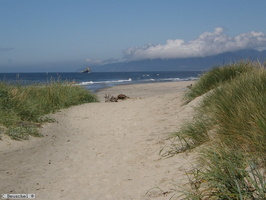 Oregon Coast