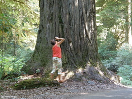 Redwood State Park