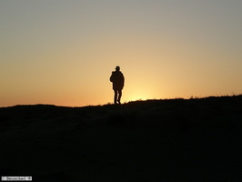Lighthouse Road , Petrolia