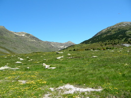 Pyrenees