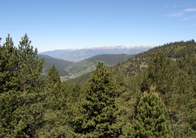 Pyrenees