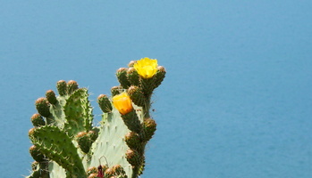 Lago Bassi del Fiumendosa