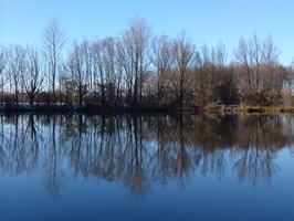 Karlsfelder See